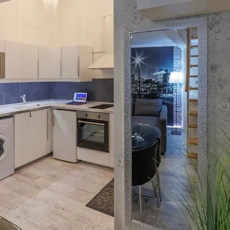 Sleek Minimalist Studio At Inner Apartment Budapest
